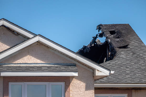 Top rated local Board Up Services specialists in Arlington, TX